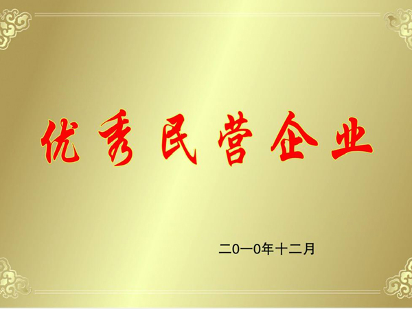 民營企業(yè)